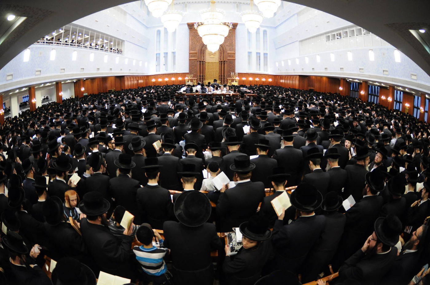 באשמורת הבוקר: אלפים בסליחות בבעלזא • גלריה