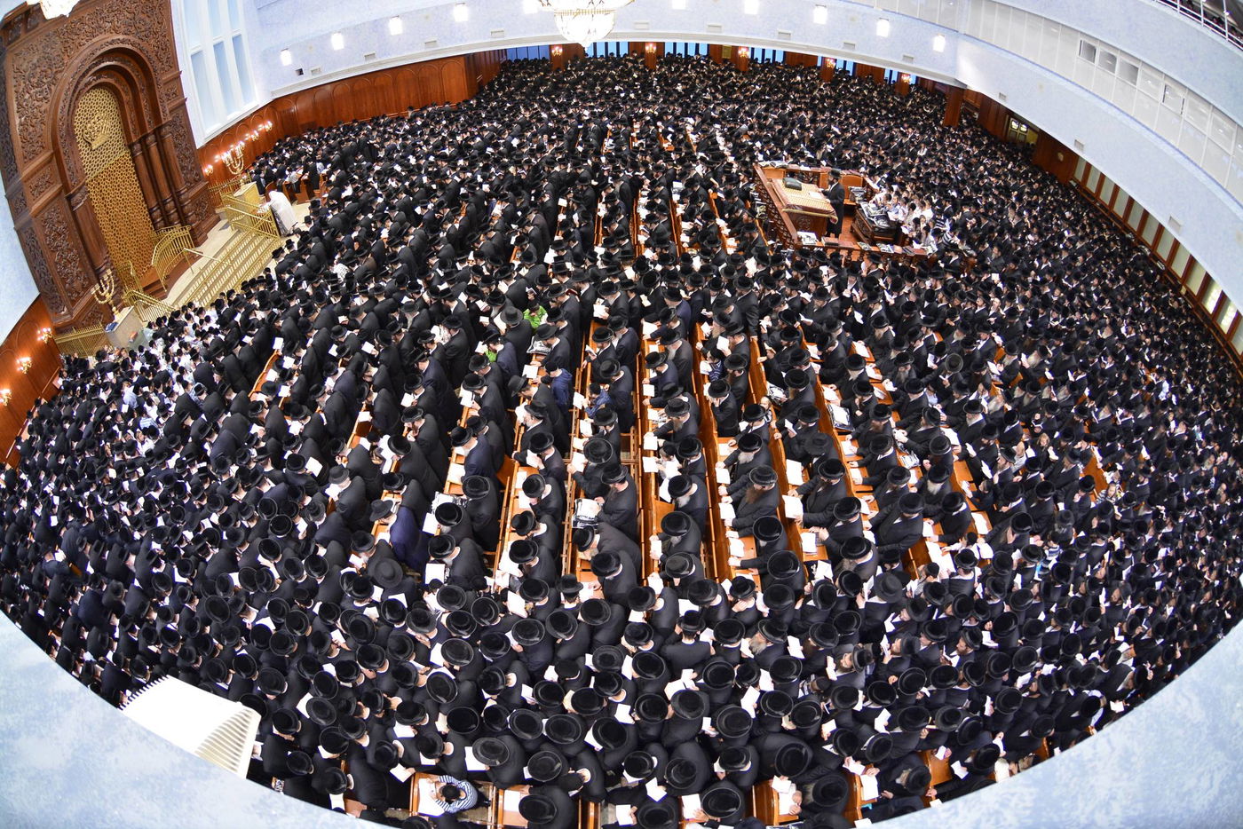 באשמורת הבוקר: אלפים בסליחות בבעלזא • גלריה