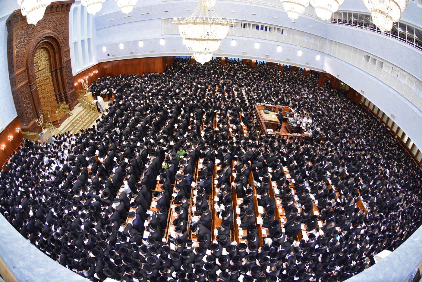באשמורת הבוקר: אלפים בסליחות בבעלזא • גלריה