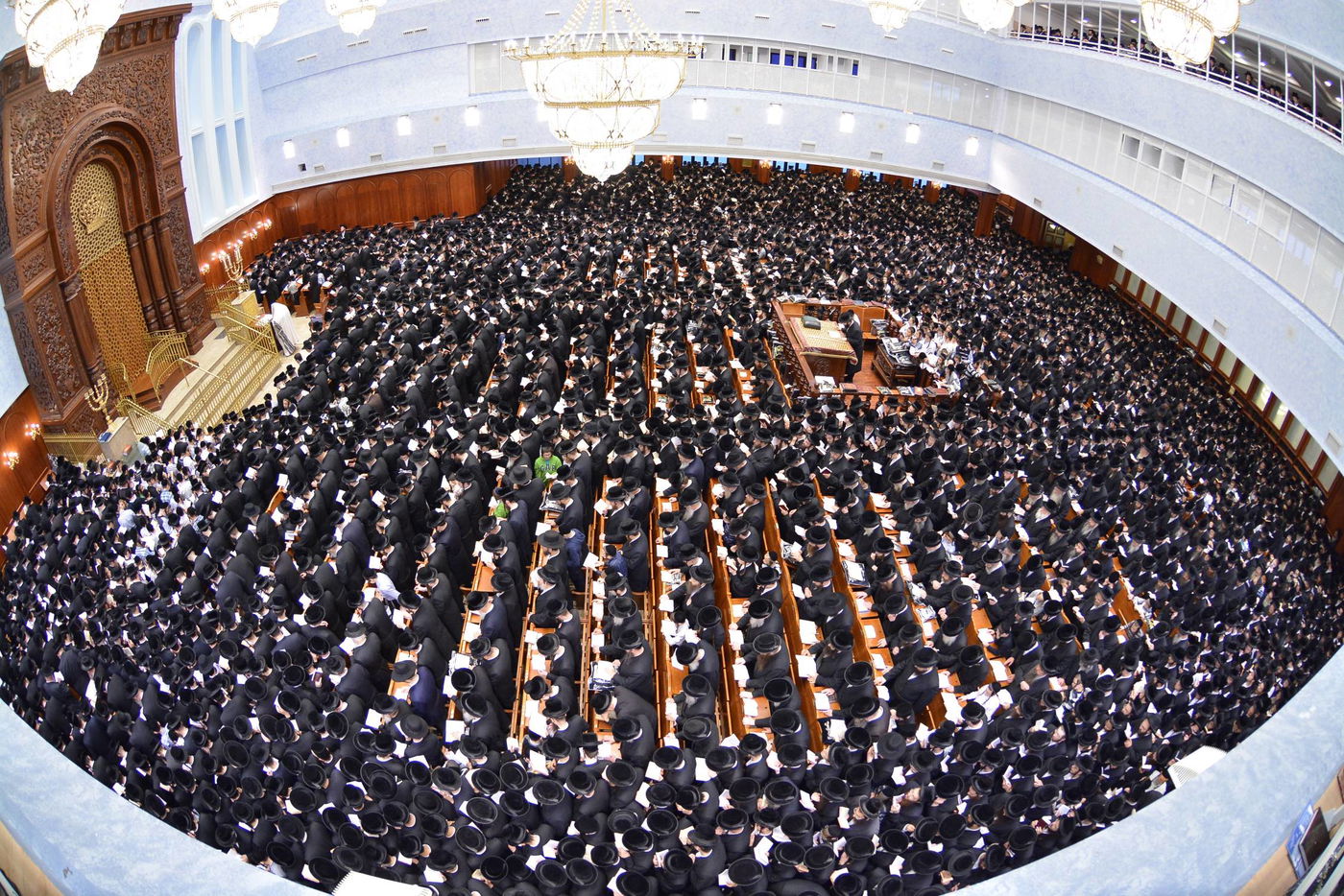 באשמורת הבוקר: אלפים בסליחות בבעלזא • גלריה