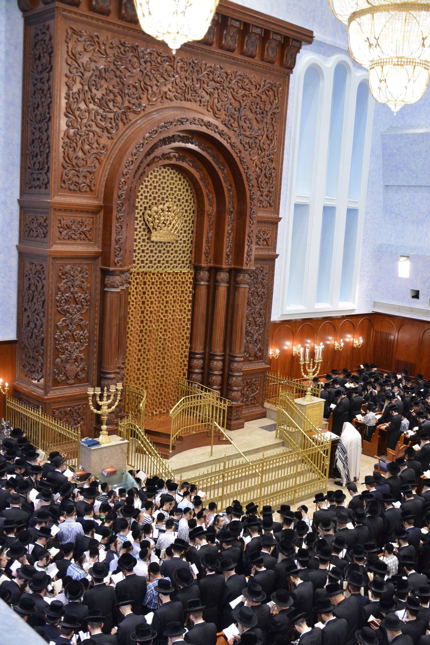 באשמורת הבוקר: אלפים בסליחות בבעלזא • גלריה