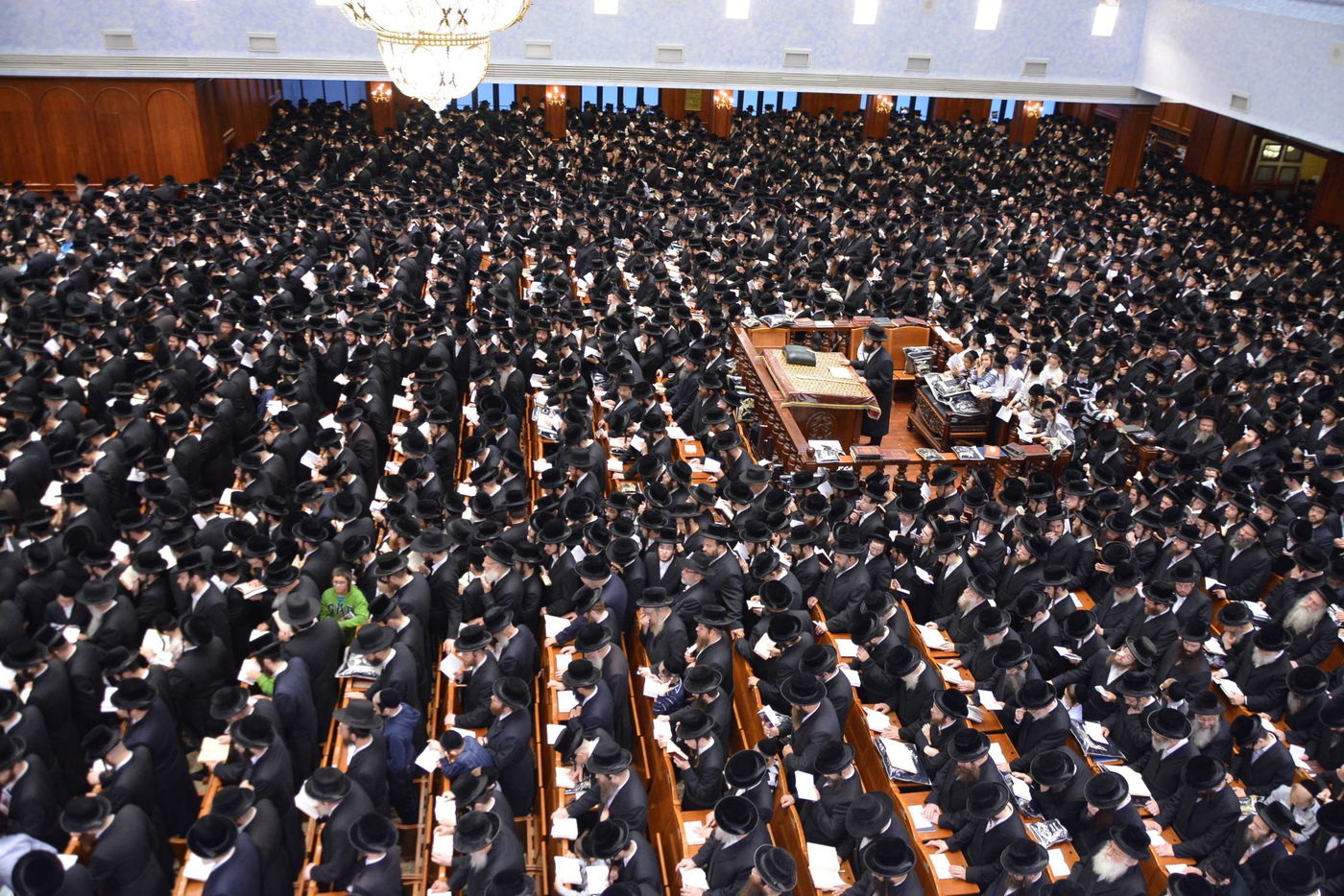 באשמורת הבוקר: אלפים בסליחות בבעלזא • גלריה