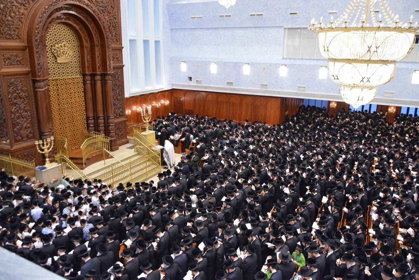 באשמורת הבוקר: אלפים בסליחות בבעלזא • גלריה