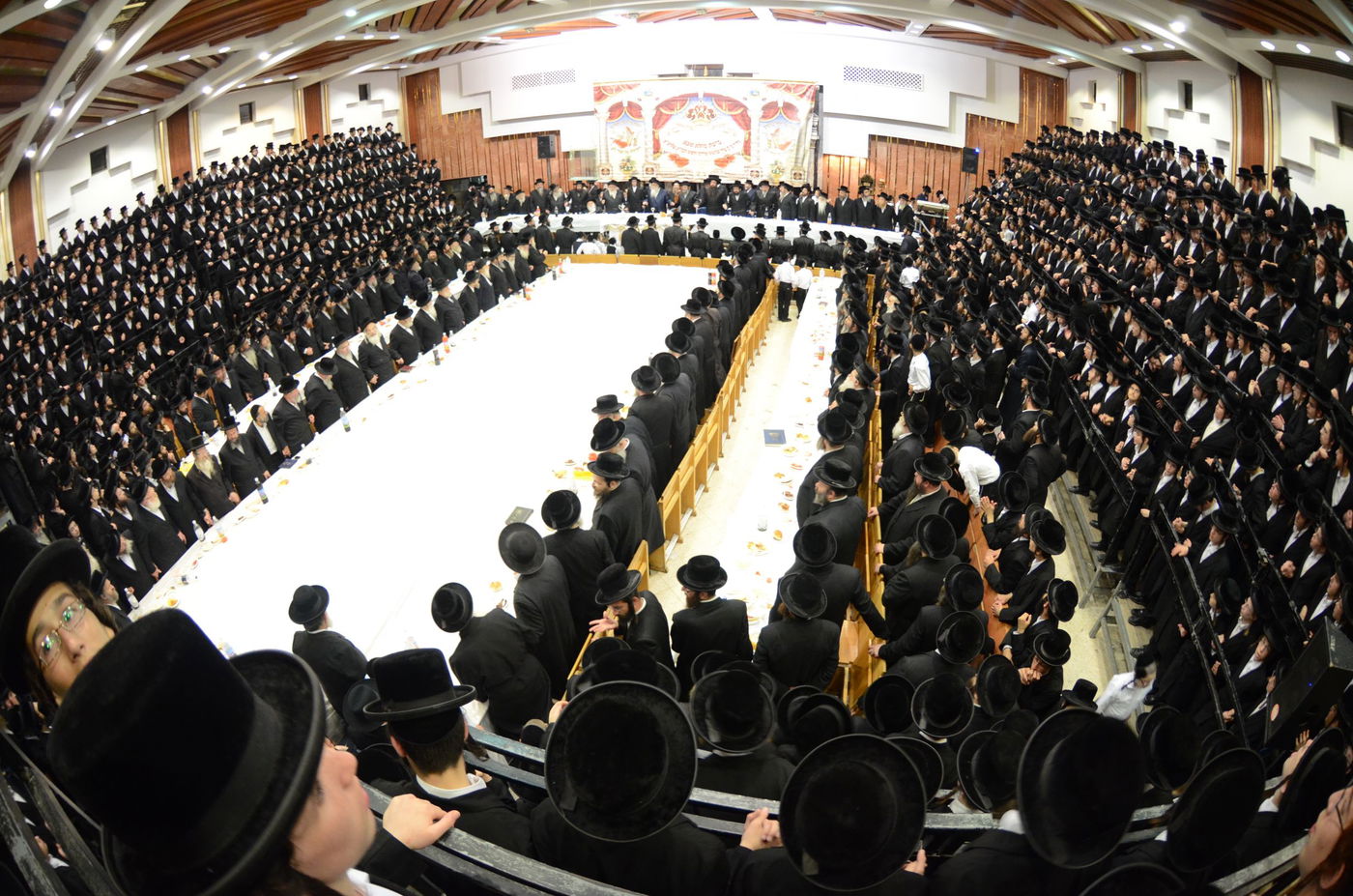 אירוסי נכד האדמו"ר מצאנז עם נכדת בעל ה"שפע חיים" זי"ע • גלריה