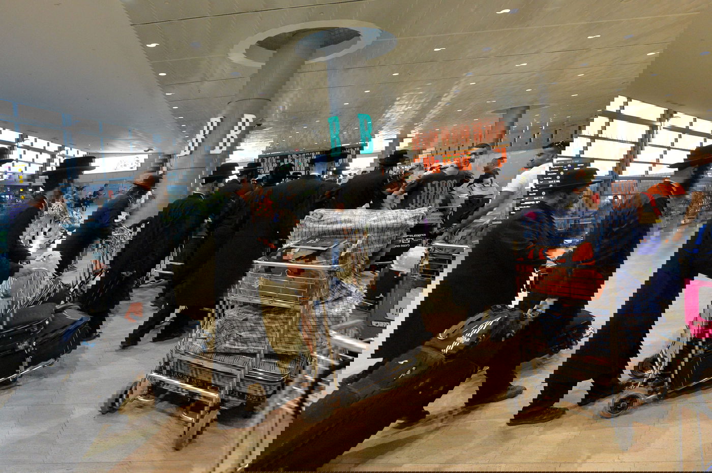 בדרך לאומן: "שאלים" נגד פריצות • תמונות