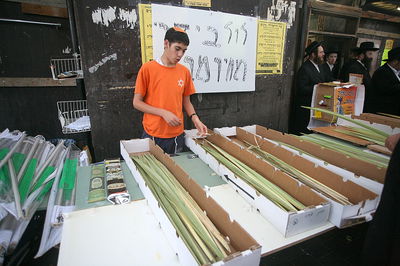 חרם חרדי על לולבי ד"לים: "אין סיבה שנפרנס אותם"