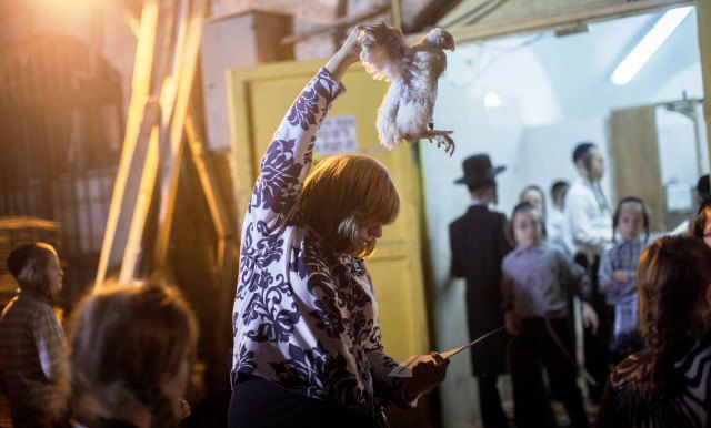 זֶה הַתַּרְנְגוֹל יֵלֵךְ לְמִיתָה: "כפרות" במאה שערים • גלריה