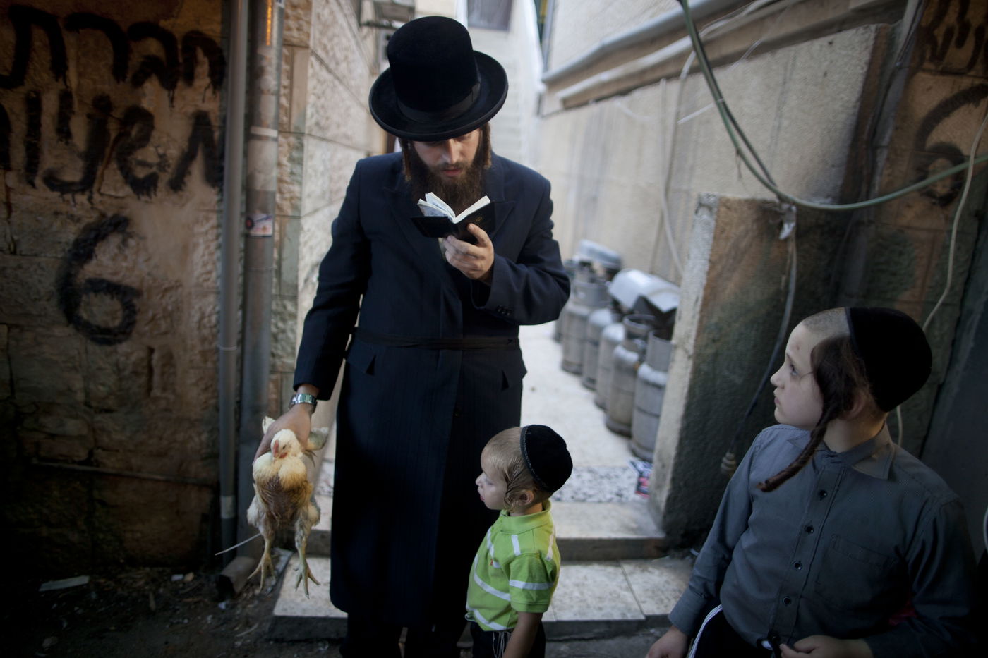 זֶה הַתַּרְנְגוֹל יֵלֵךְ לְמִיתָה: "כפרות" במאה שערים • גלריה