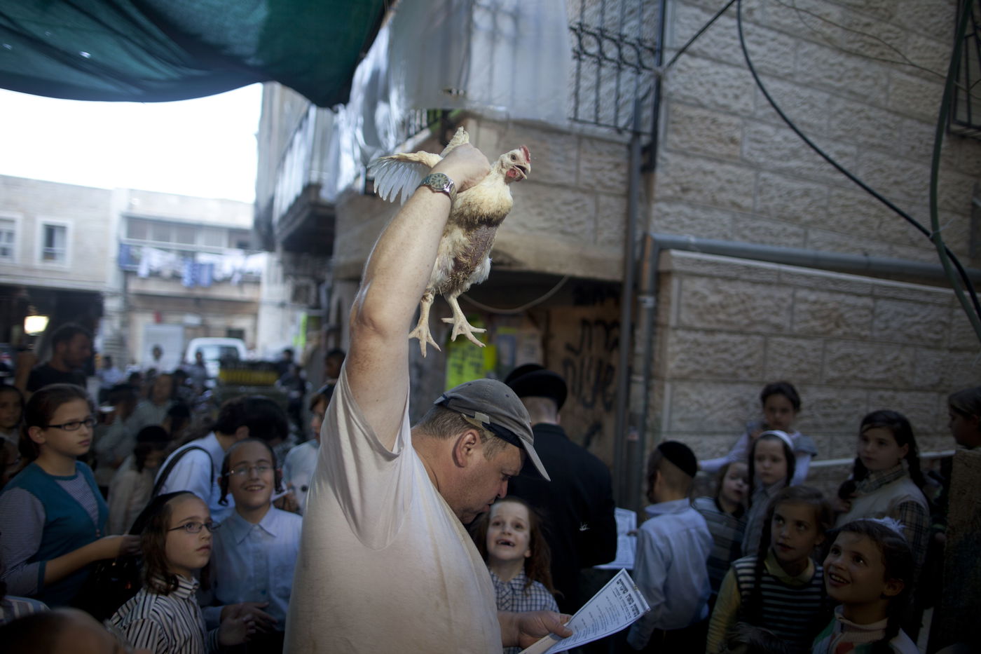 זֶה הַתַּרְנְגוֹל יֵלֵךְ לְמִיתָה: "כפרות" במאה שערים • גלריה