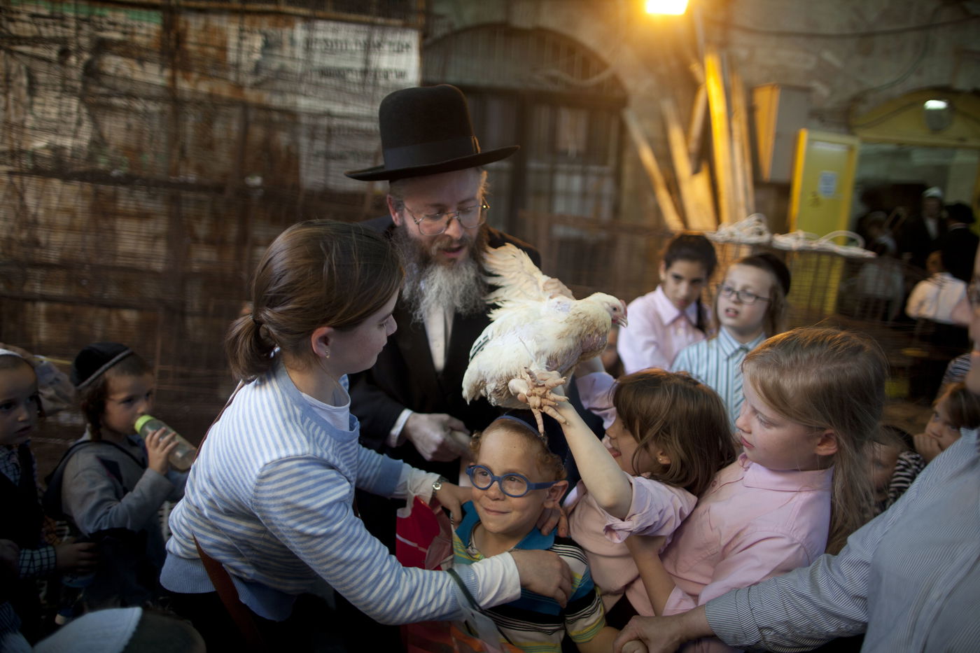 זֶה הַתַּרְנְגוֹל יֵלֵךְ לְמִיתָה: "כפרות" במאה שערים • גלריה