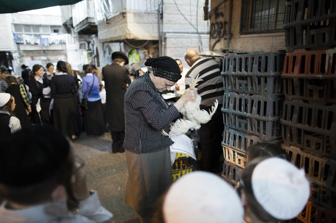 זֶה הַתַּרְנְגוֹל יֵלֵךְ לְמִיתָה: "כפרות" במאה שערים • גלריה