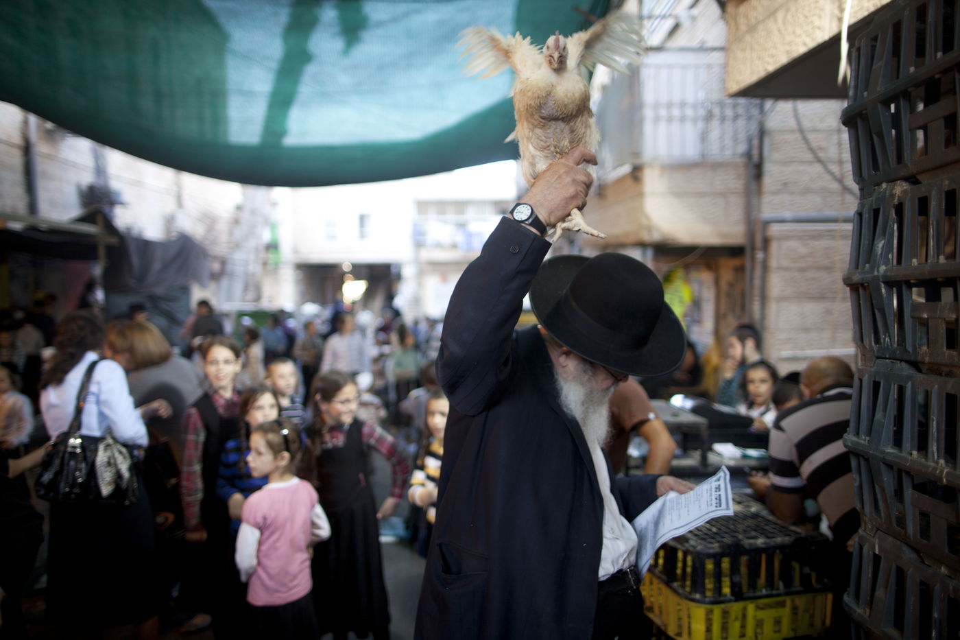 זֶה הַתַּרְנְגוֹל יֵלֵךְ לְמִיתָה: "כפרות" במאה שערים • גלריה