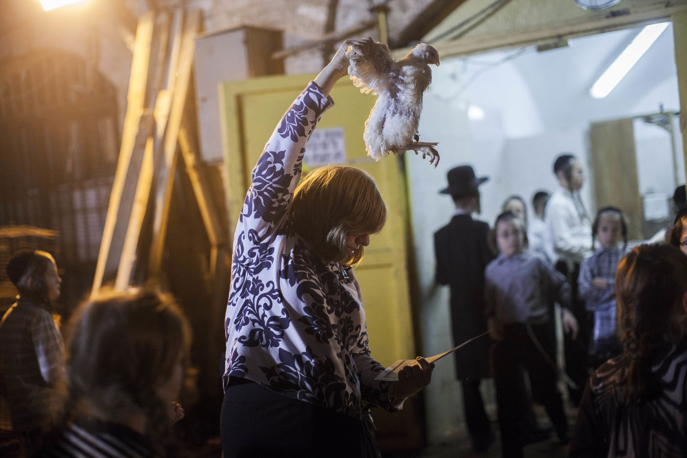 זֶה הַתַּרְנְגוֹל יֵלֵךְ לְמִיתָה: "כפרות" במאה שערים • גלריה