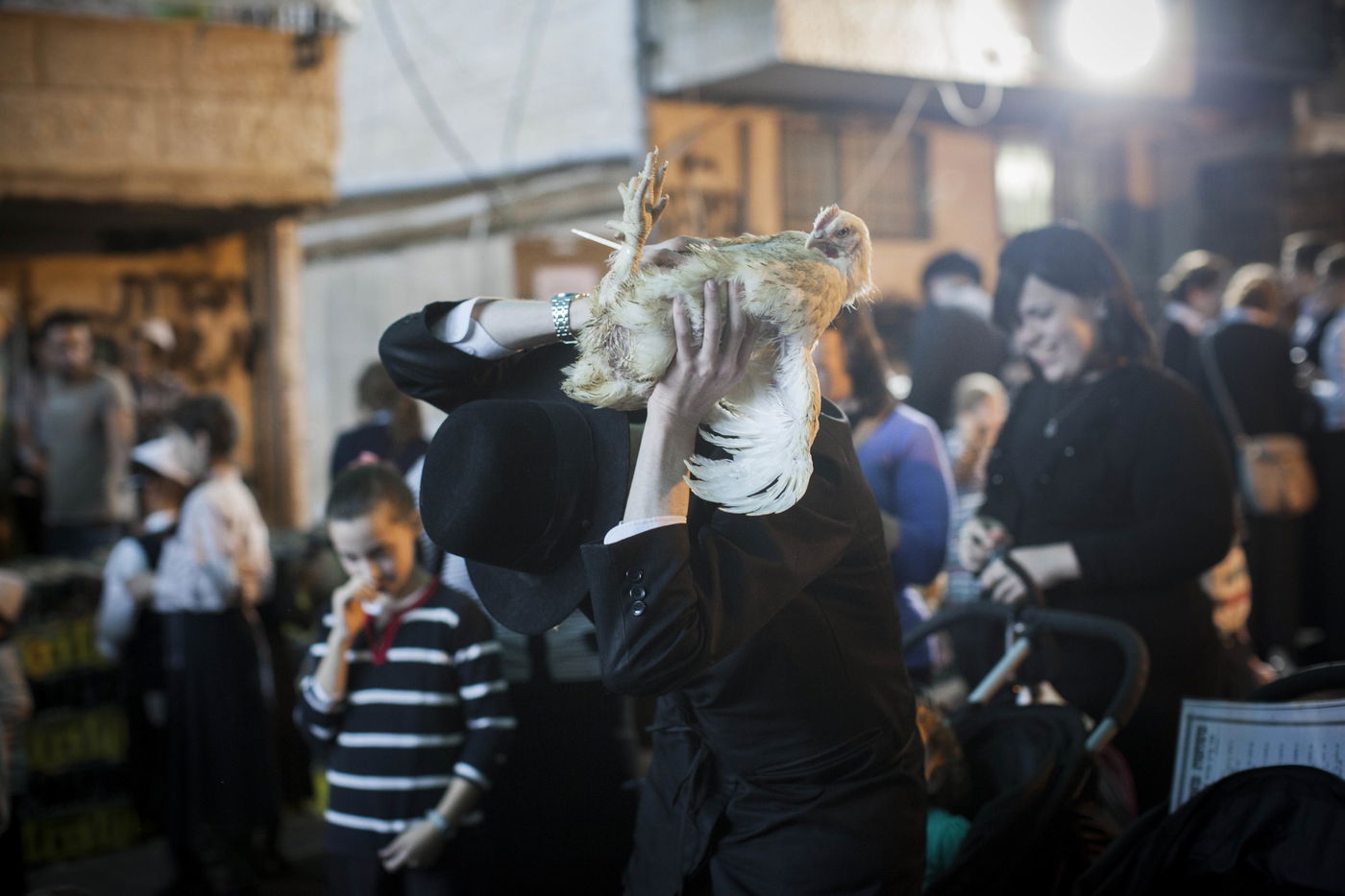 זֶה הַתַּרְנְגוֹל יֵלֵךְ לְמִיתָה: "כפרות" במאה שערים • גלריה