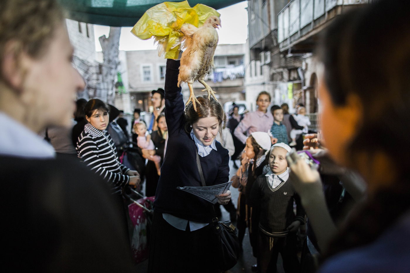 זֶה הַתַּרְנְגוֹל יֵלֵךְ לְמִיתָה: "כפרות" במאה שערים • גלריה