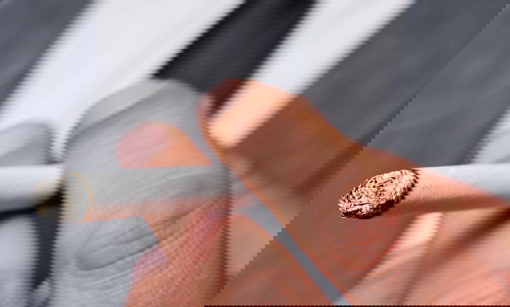 הזיה: בריטניה הצביע על חוק איסור רכישת טבק לצמיתות לילידי 2009 ואילך  