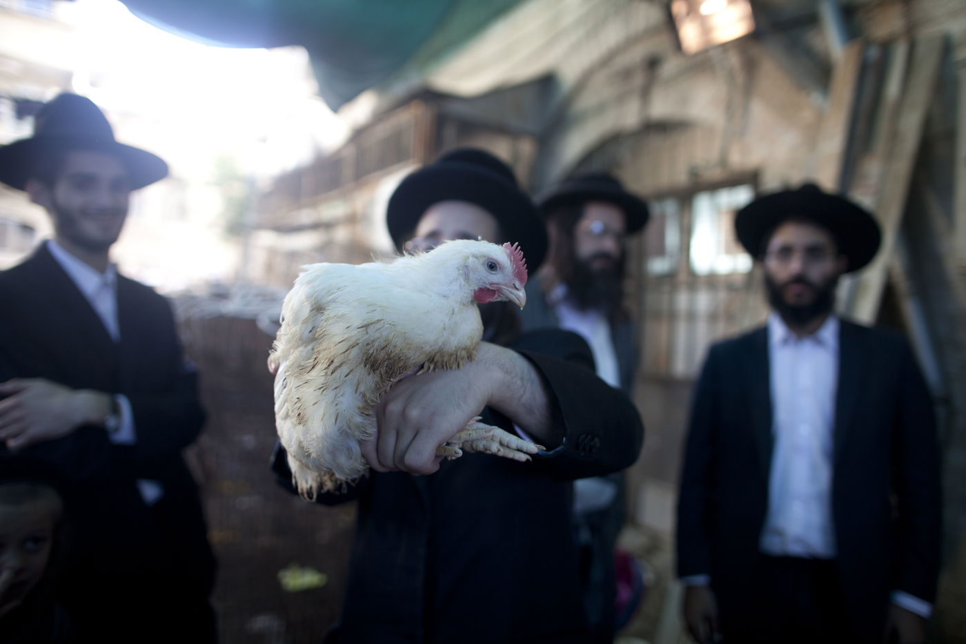 זֶה הַתַּרְנְגוֹל יֵלֵךְ לְמִיתָה: "כפרות" במאה שערים • גלריה