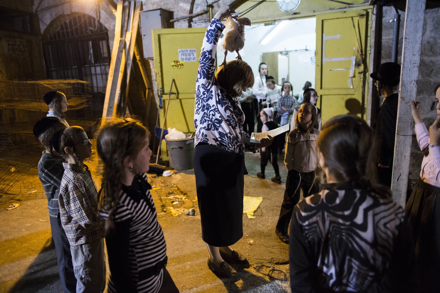 זֶה הַתַּרְנְגוֹל יֵלֵךְ לְמִיתָה: "כפרות" במאה שערים • גלריה