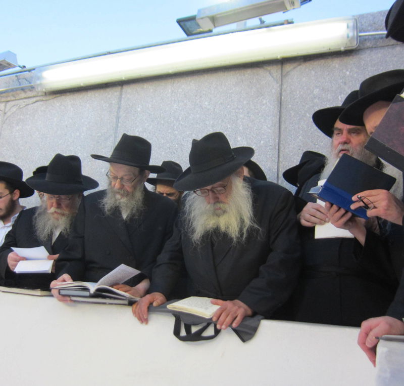 אומן של ניו יורק: אלפי בחורי ישיבות חב"ד שוהים "אצל הרבי"