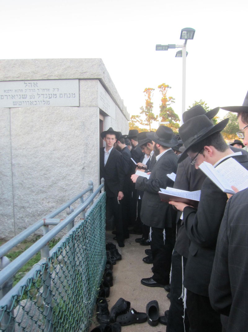 אומן של ניו יורק: אלפי בחורי ישיבות חב"ד שוהים "אצל הרבי"