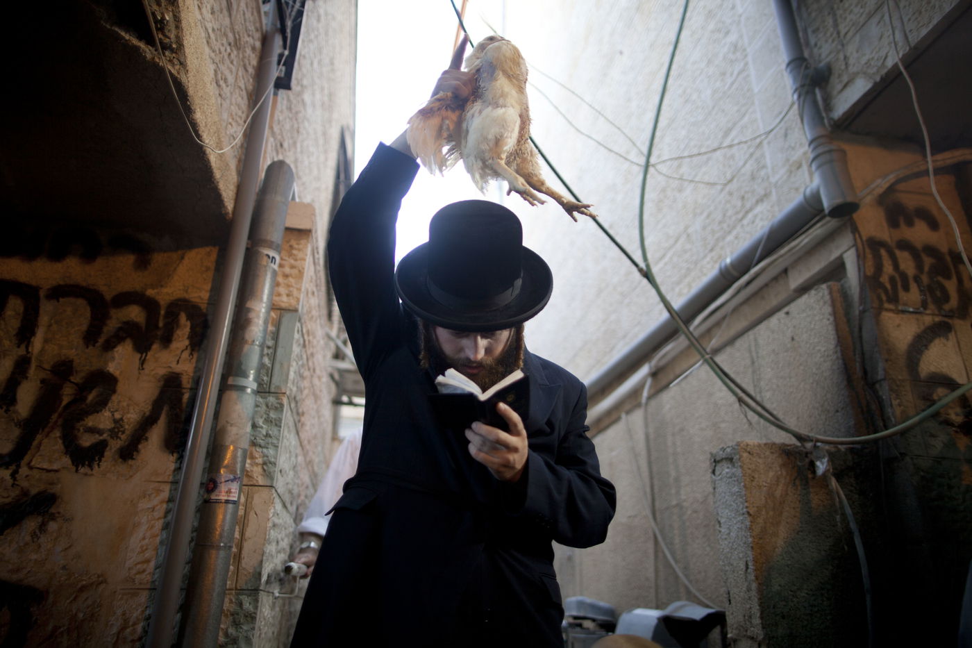 זֶה הַתַּרְנְגוֹל יֵלֵךְ לְמִיתָה: "כפרות" במאה שערים • גלריה