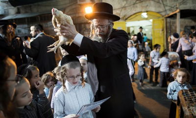 עמיר פרץ: אסור שתופעת ה"כפרות" בתרנגולים תימשך