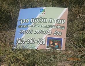 קק"ל מחלקת לכם סכך בחינם