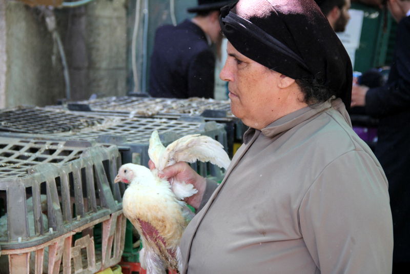 תיעוד ענק: מהכפרות עד השחיטה