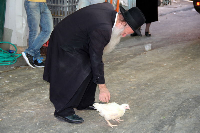 תיעוד ענק: מהכפרות עד השחיטה