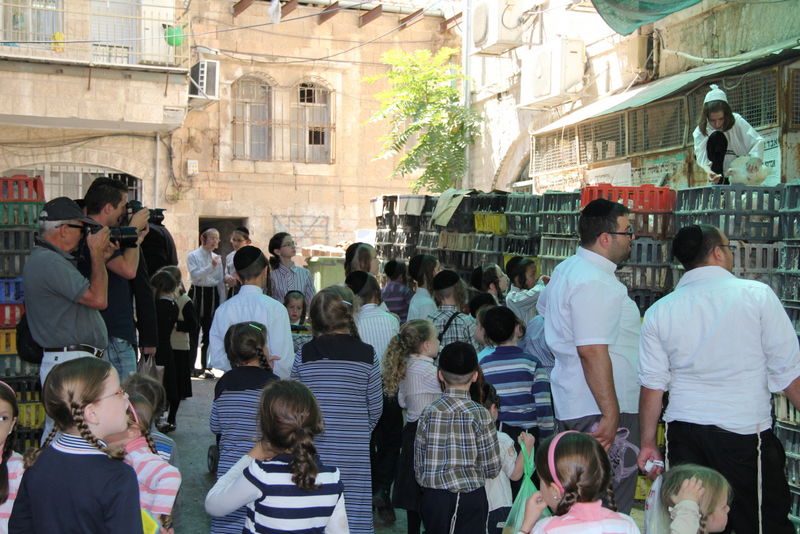 תיעוד ענק: מהכפרות עד השחיטה