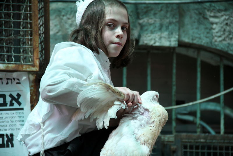 תיעוד ענק: מהכפרות עד השחיטה