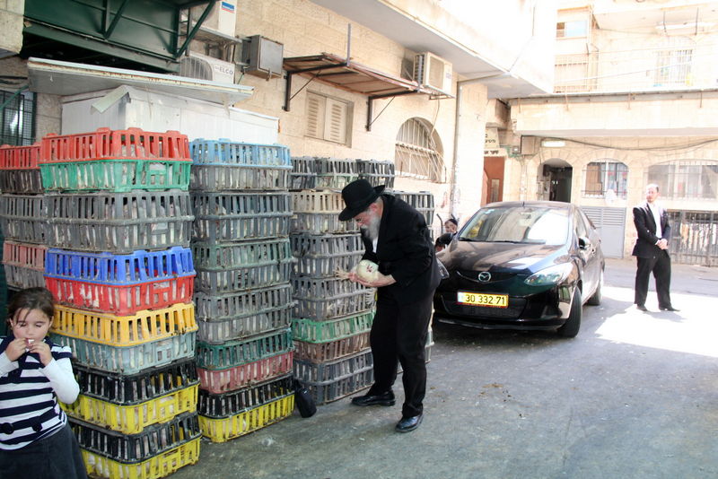 תיעוד ענק: מהכפרות עד השחיטה