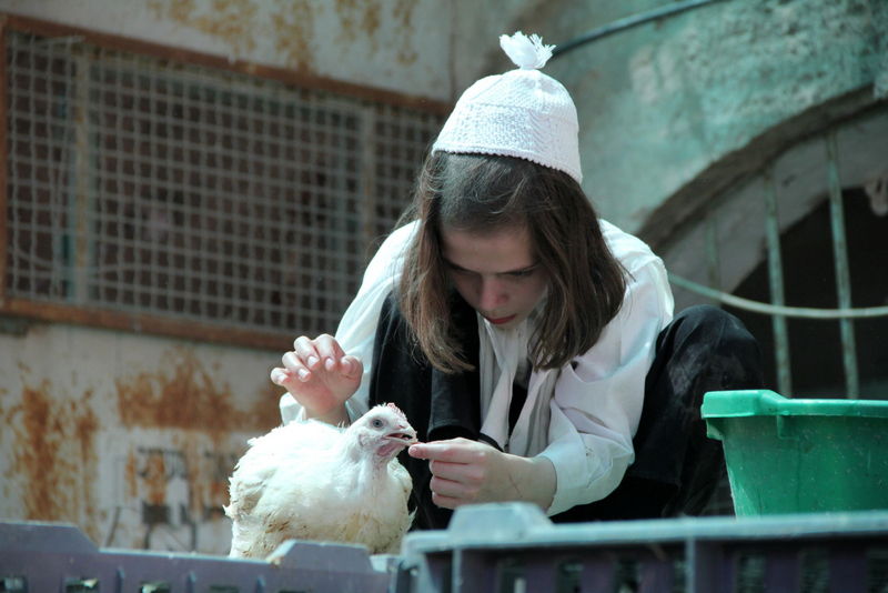 תיעוד ענק: מהכפרות עד השחיטה