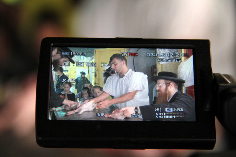 תיעוד ענק: מהכפרות עד השחיטה