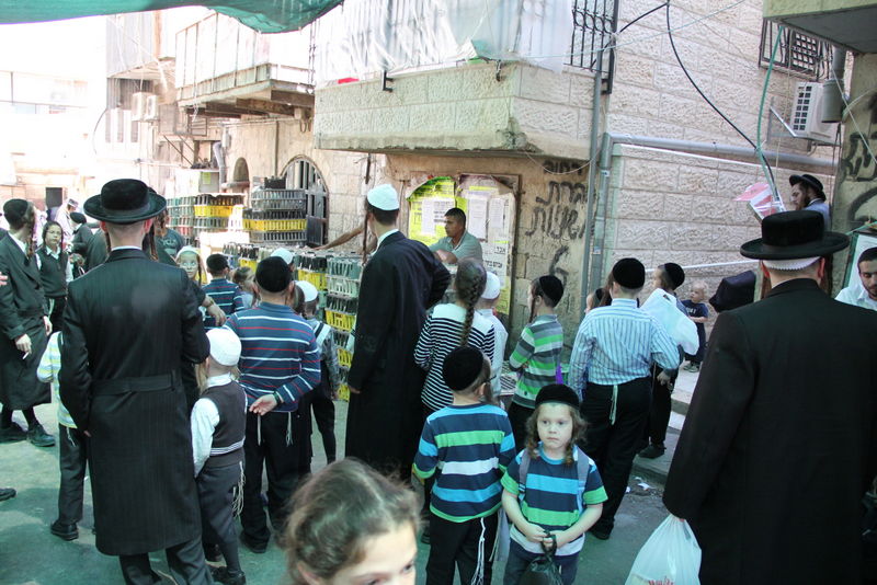 תיעוד ענק: מהכפרות עד השחיטה