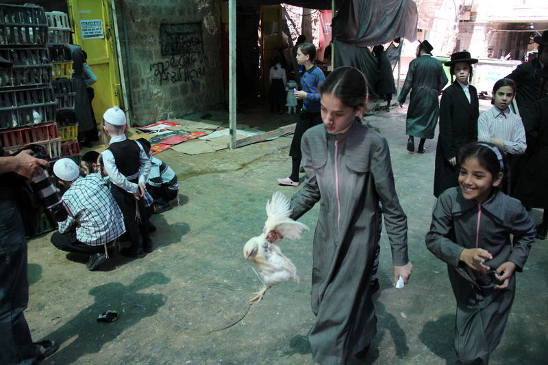 תיעוד ענק: מהכפרות עד השחיטה