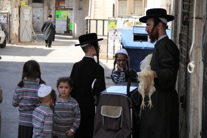 תיעוד ענק: מהכפרות עד השחיטה