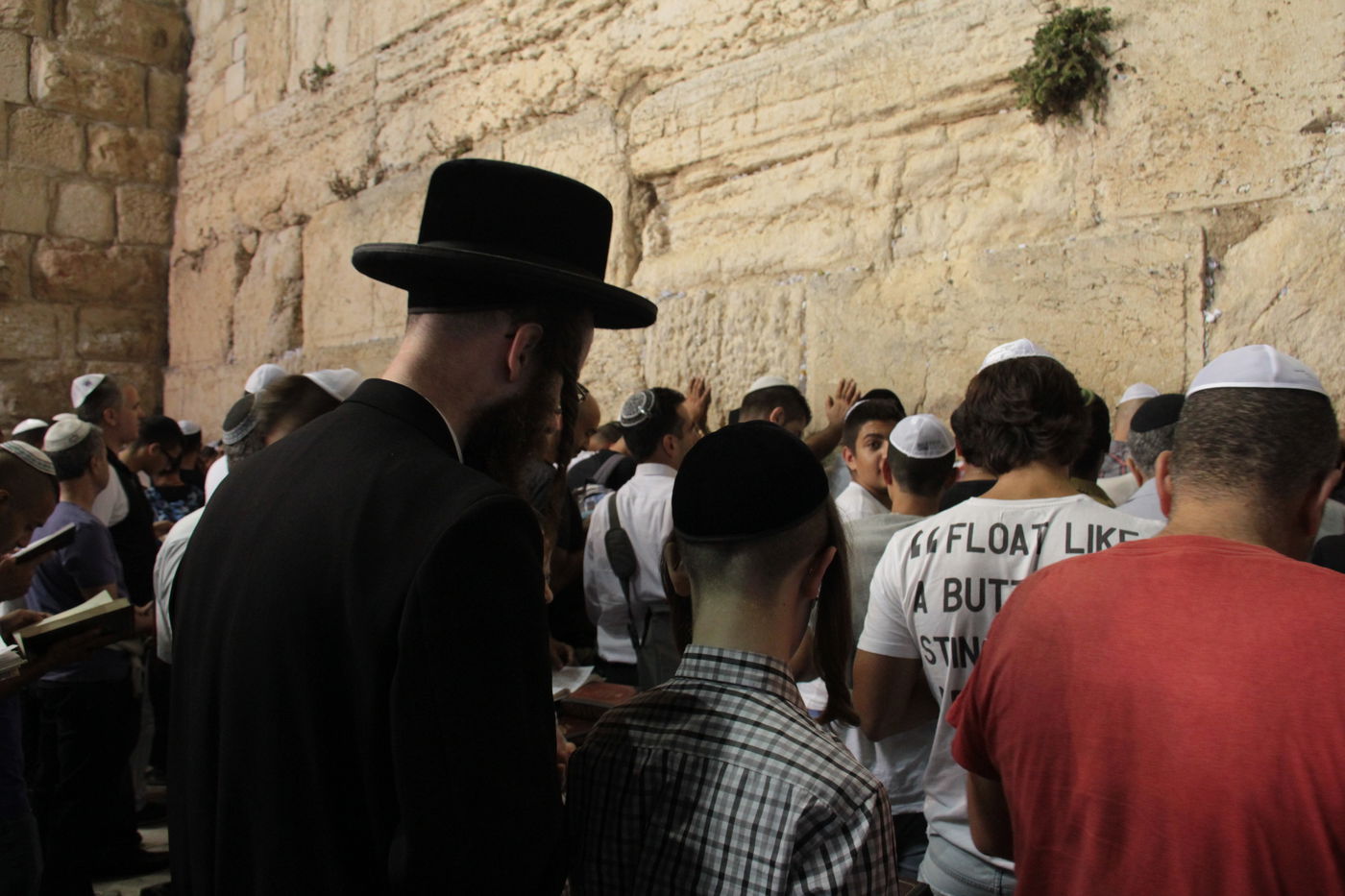 אַדִּירֵי אֲיֻמָּה, יַאְדִּירוּ: רבבות בכותל