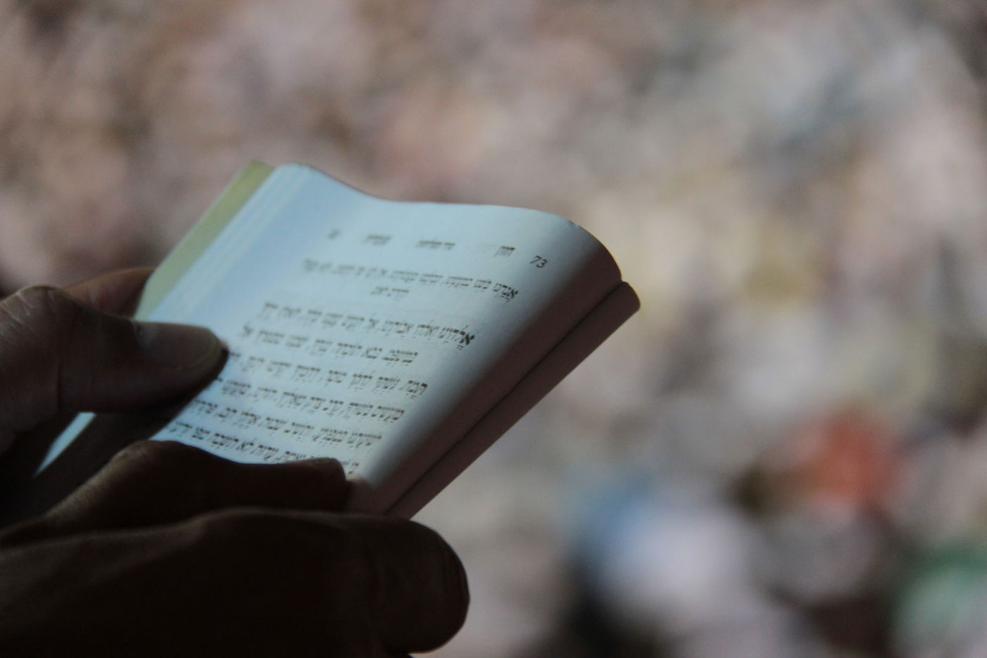 אַדִּירֵי אֲיֻמָּה, יַאְדִּירוּ: רבבות בכותל