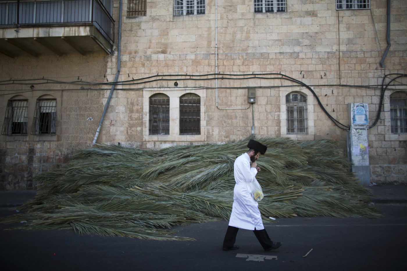 צפו בגלריה: לבושים לבן ומקבלים 40 מלקות