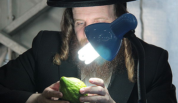 ערב סוכות: גלריה תוססת משוק ארבעת המינים בירושלים