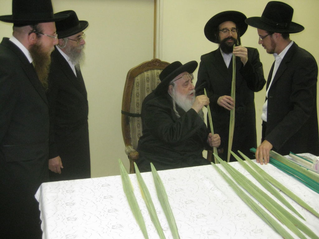 בבדיקת לולבים בעשרת ימי תשובה