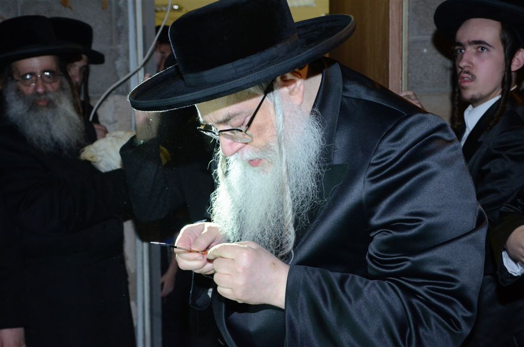 בדיקת הסכין