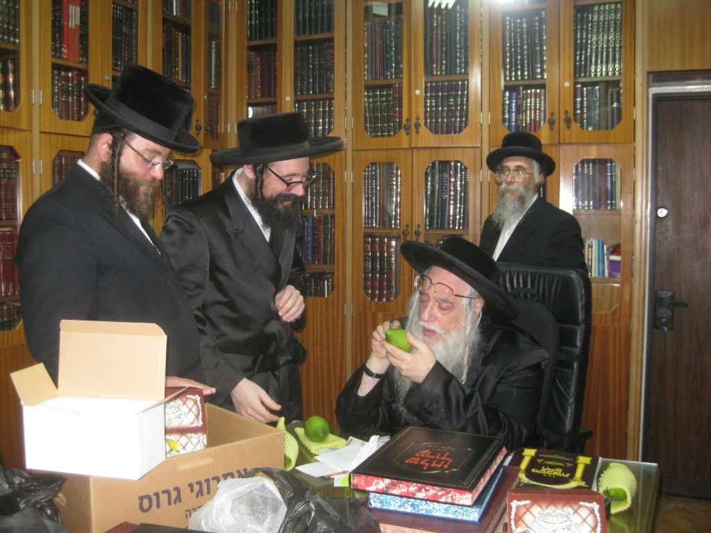 בבדיקת אתרוגים בעשרת ימי תשובה