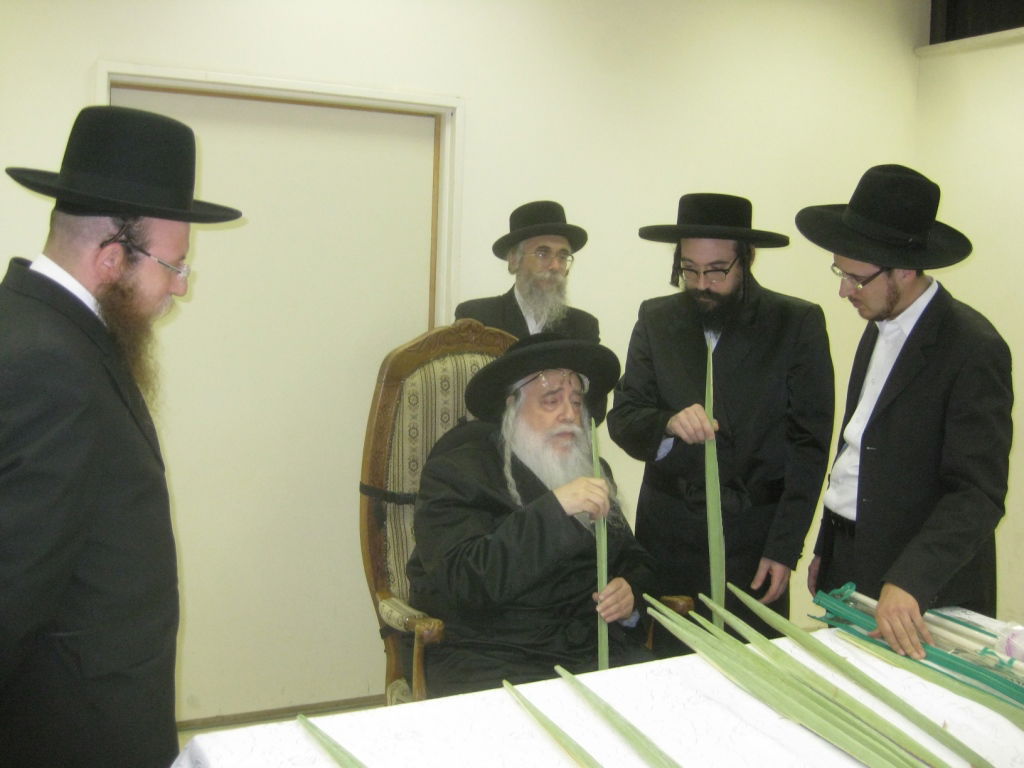 בבדיקת לולבים בעשרת ימי תשובה