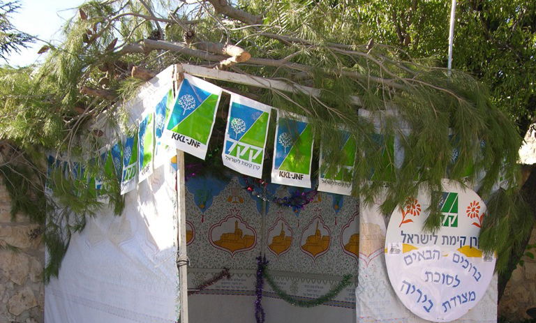 סוכה ביער קק"ל