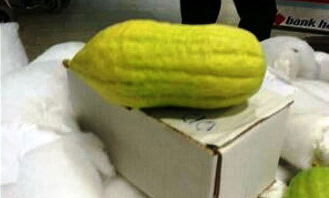 נתב"ג: מנהל ישיבה ניסה להבריח אתרוגים ונלכד