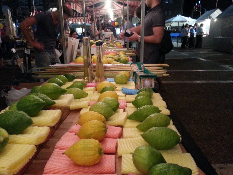 ארבעת המינים בכיכר רבין • גלריה