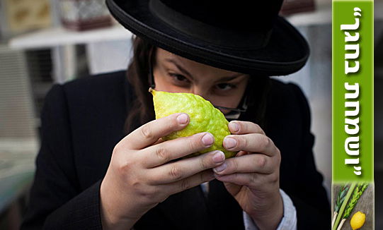 סוכות: כל מה שרציתם לדעת על החג • מיוחד