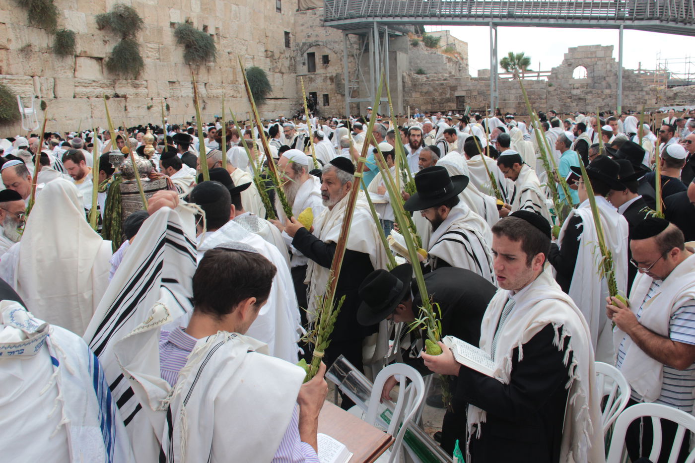 30 אלף איש בברכת כהנים • וידאו וגלריה